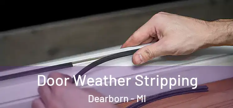 Door Weather Stripping Dearborn - MI