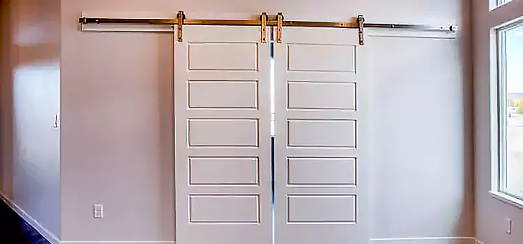 Glass Barn Door with Installation Hardware Kit Dearborn