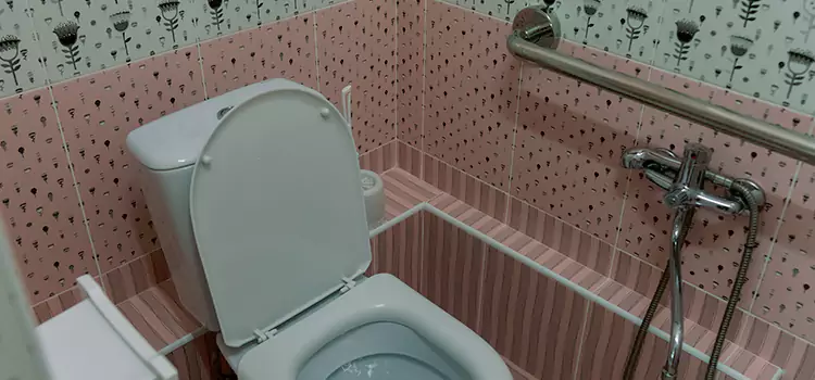 Meeting Diverse Needs With Accessible Restroom Solutions in Dearborn, MI