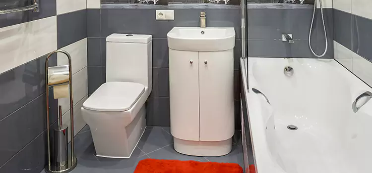 Hansgrohe Shaving Mirror Dearborn